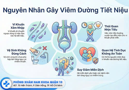 Những nguyên nhân gây viêm đường tiết niệu thường gặp.