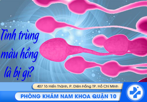 Tinh trùng màu hồng là bị gì?
